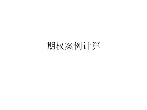 期权案例计算