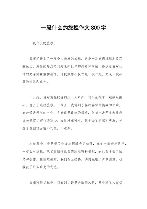 一段什么的旅程作文800字