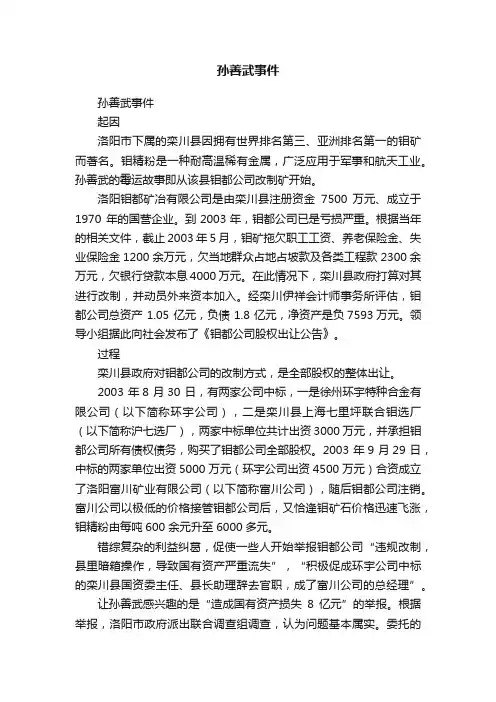 孙善武事件