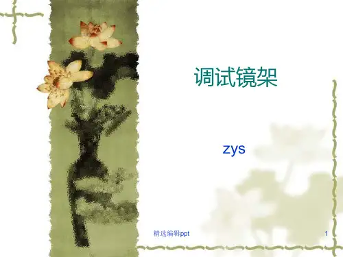 眼镜调整ppt课件