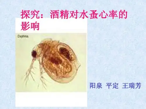 酒精对水蚤的影响
