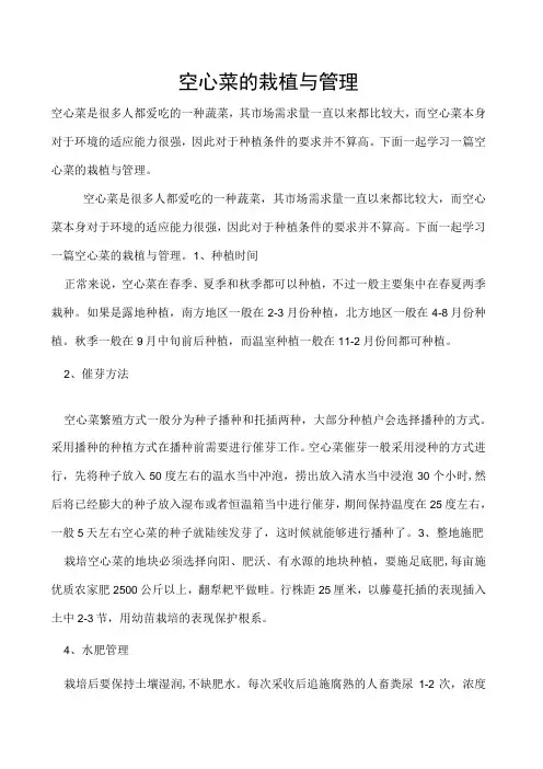 空心菜的栽植与管理