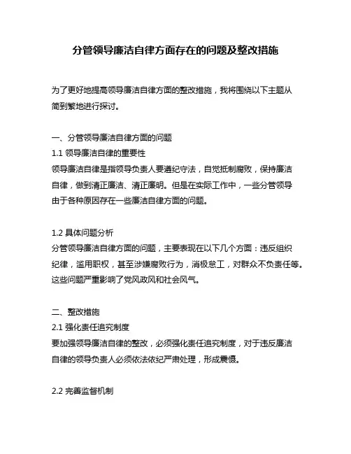 分管领导廉洁自律方面存在的问题及整改措施