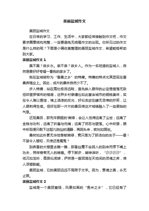 美丽盐城作文