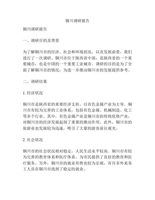 铜川调研报告