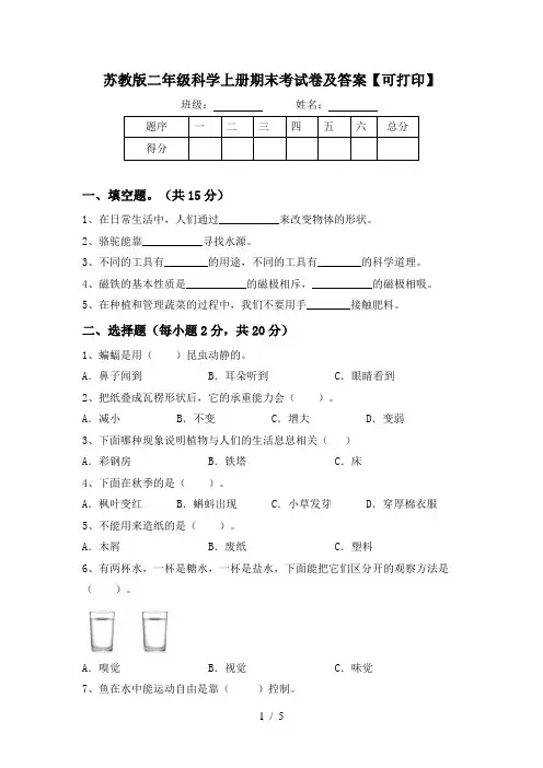 苏教版二年级科学上册期末考试卷及答案【可打印】