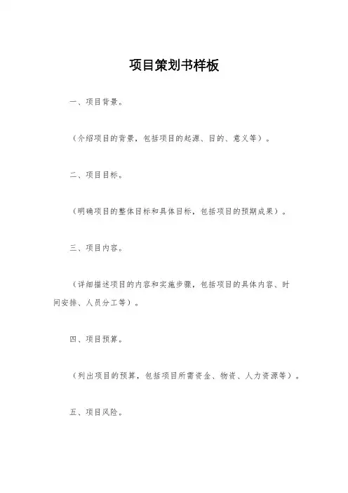 项目策划书样板
