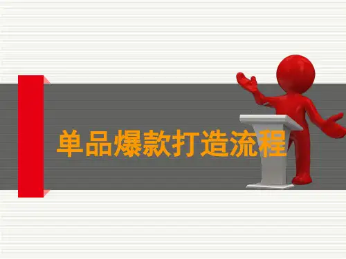 单品爆款打造流程PPT课件
