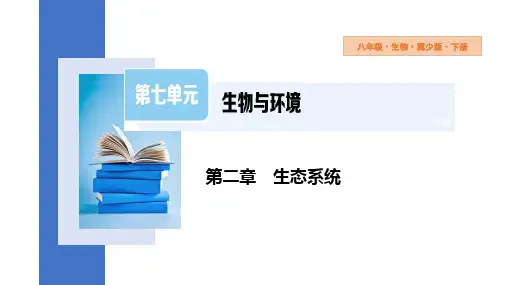 食物链和食物网课件(共24张PPT)初中生物冀少版八年级下册
