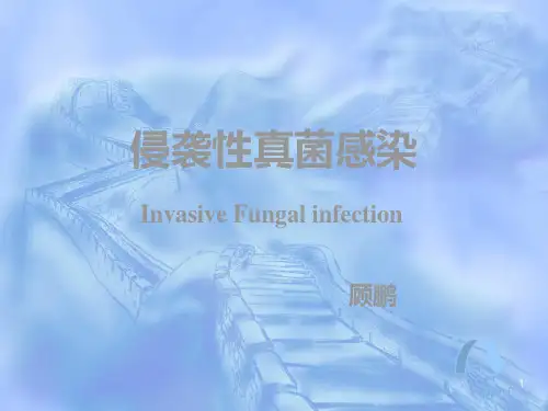 抗真菌药物 ppt课件 共52页