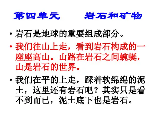 教科版小学科学四年级下册《各种各样的岩石》.ppt