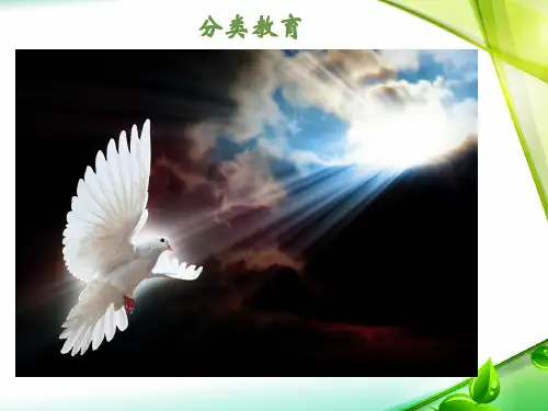 犯罪动机