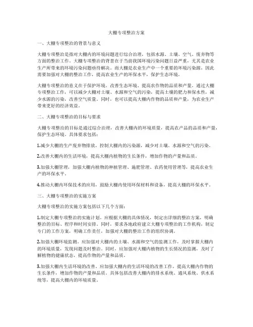 大棚专项整治方案