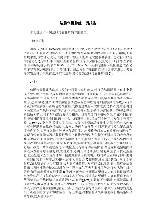 结肠气囊肿症一例报告