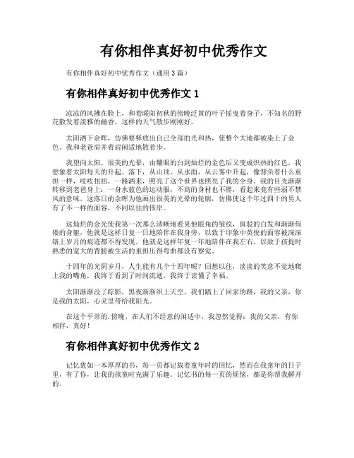有你相伴真好初中优秀作文