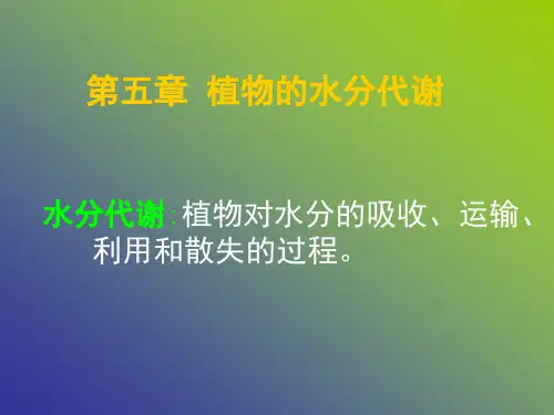 植物与植物生理课件——植物的水分