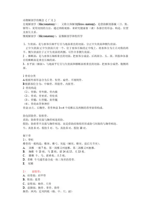 动物解剖学的概念