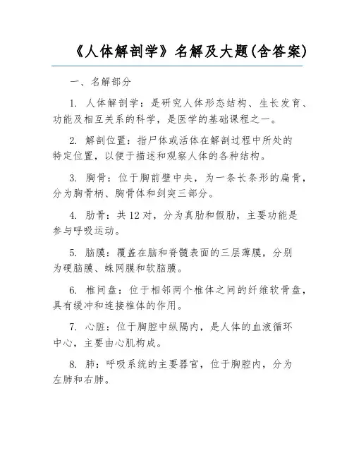 《人体解剖学》名解及大题(含答案) 