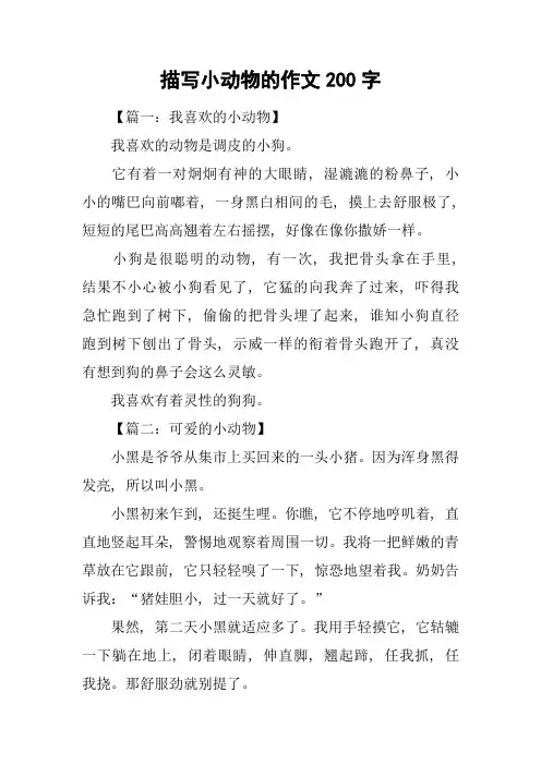 描写小动物的作文200字