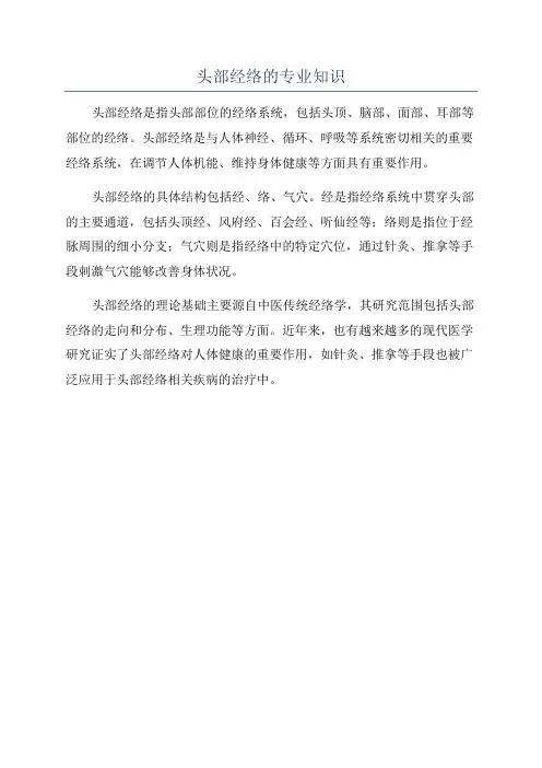 头部经络的专业知识