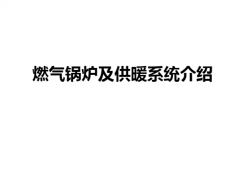 燃气锅炉系统介绍(2).ppt
