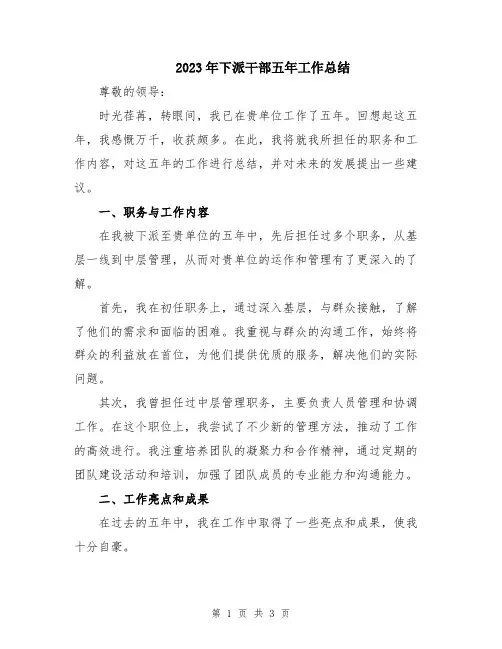 2023年下派干部五年工作总结