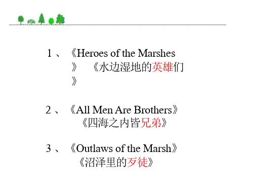 《水浒传》ppt课件