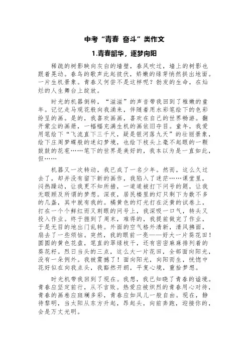 中考“青春 奋斗”类作文(精选五篇+评语)