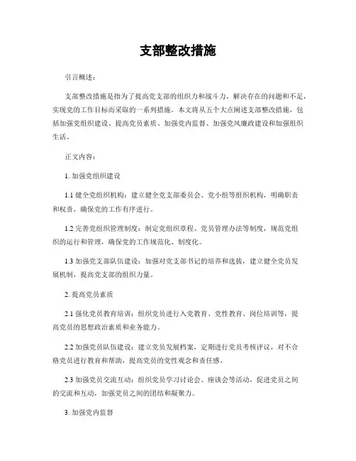 支部整改措施