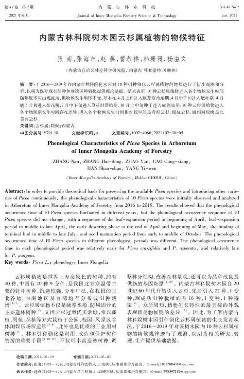 内蒙古林科院树木园云杉属植物的物候特征