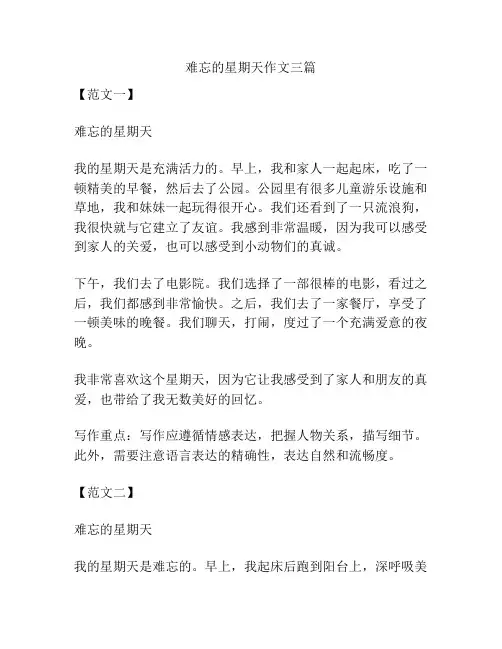 难忘的星期天作文三篇