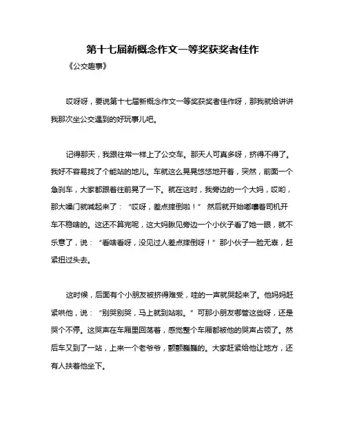 第十七届新概念作文一等奖获奖者佳作