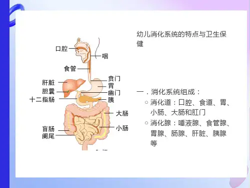 幼儿消化系统及卫生保健