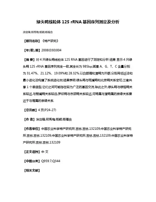 绿头鸭线粒体12S rRNA基因序列测定及分析