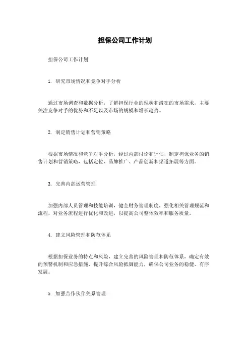 担保公司工作计划