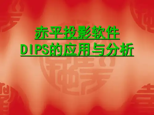 Dips软件应用与分析