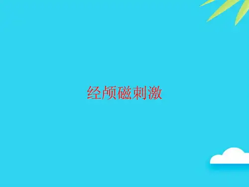 【正式版】经颅磁刺激PPT
