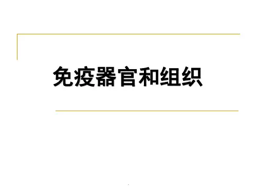 免疫器官和组织PPT课件