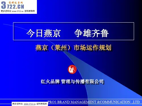 燕京啤酒市场运作规划方案(PPT 30页)