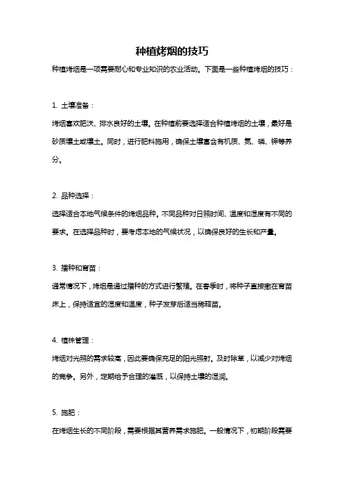 种植烤烟的技巧