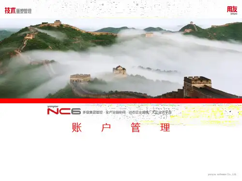 用友NC全产品培训-账户管理