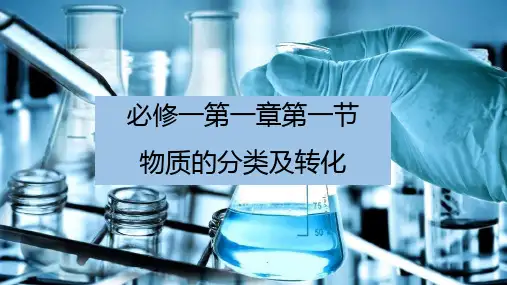 【公开课】第一章第一节物质的分类及转化课件高一上学期化学人教版(2019)必修第一册