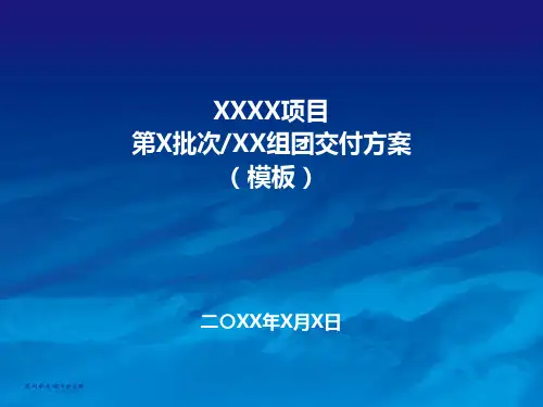 交付方案(模板)