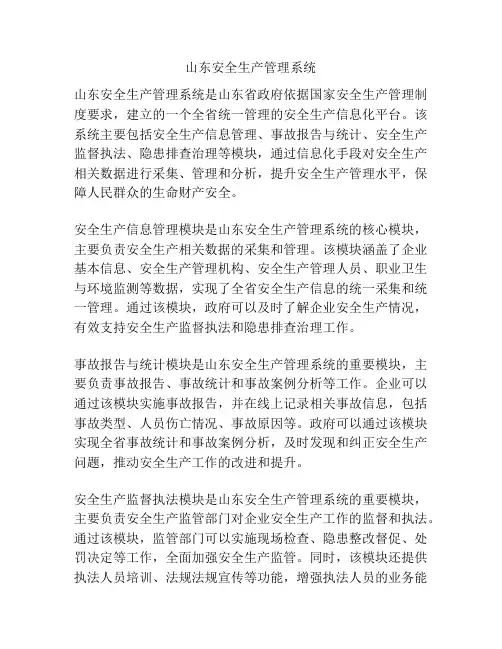 山东安全生产管理系统