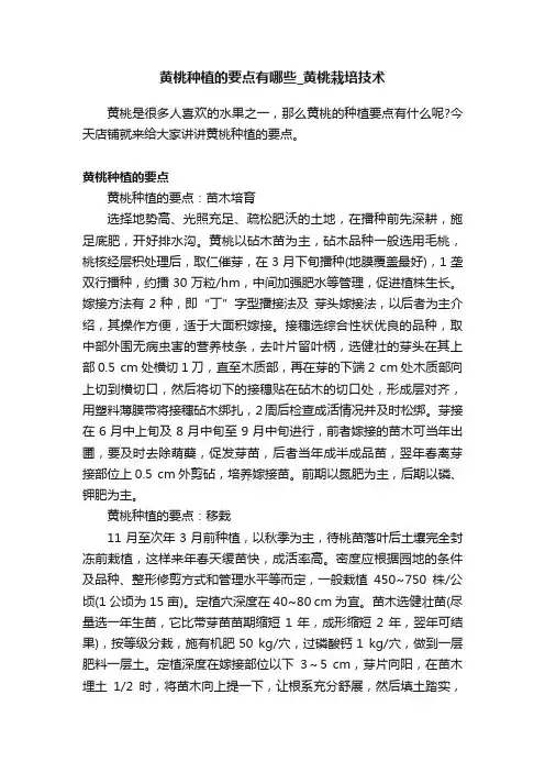 黄桃种植的要点有哪些_黄桃栽培技术