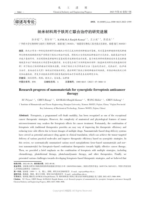 纳米材料用于铁死亡联合治疗的研究进展