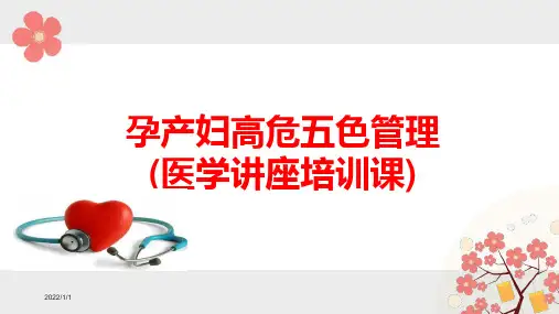 孕产妇高危五色管理(医学讲座培训课件)