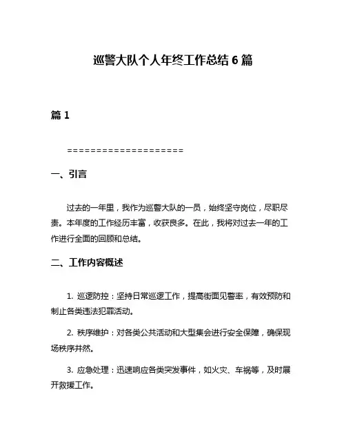 巡警大队个人年终工作总结6篇