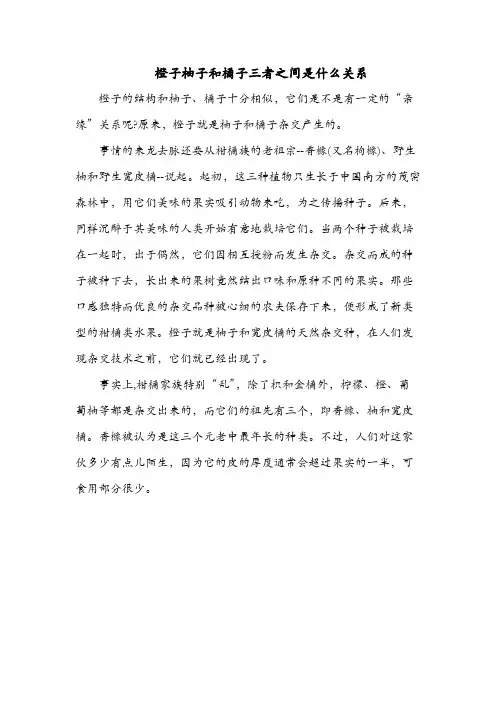 橙子柚子和橘子三者之间是什么关系