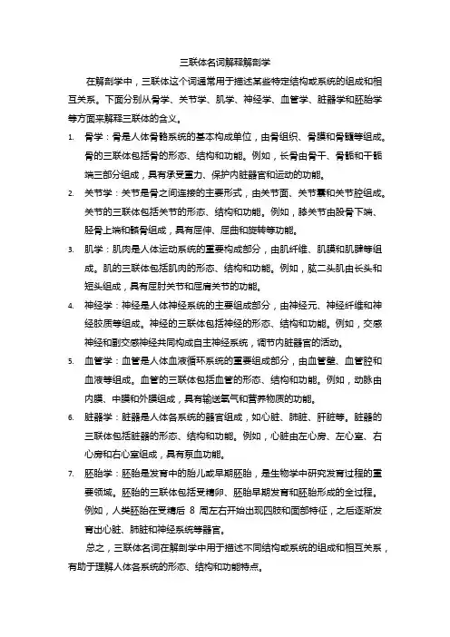 三联体名词解释解剖学